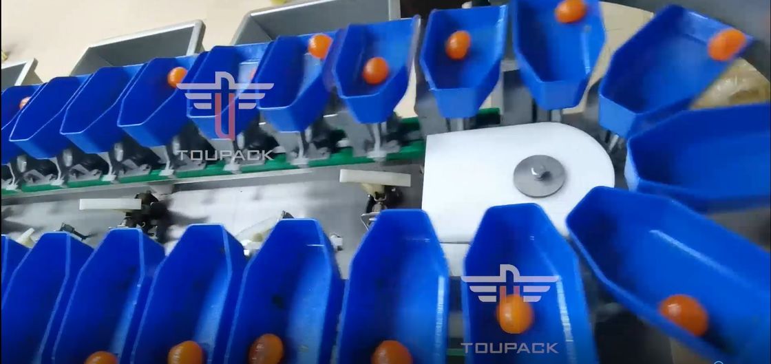 دستگاه مرتب سازی وزن دایره ای چند درجه ای لمسی برای میوه های ماهی زرده