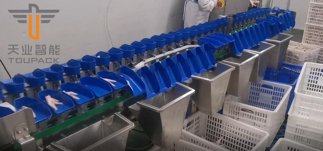 دستگاه مرتب سازی وزن دایره ای چند درجه ای لمسی برای میوه های ماهی زرده