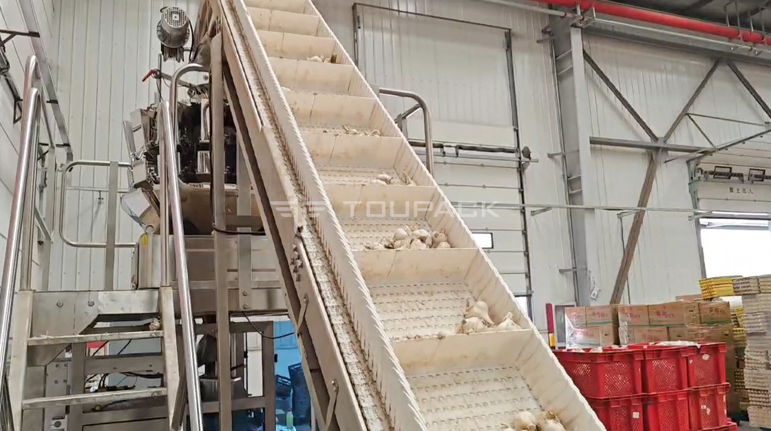 OEM ماشین وزن خودکار کیسه لوبیا جوانه کوریاندر سیب زمینی سیر نوزاد هویج بسته بندی ماشین
