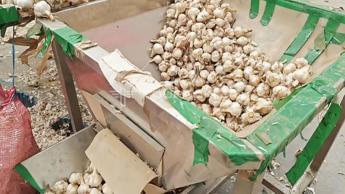 OEM ماشین وزن خودکار کیسه لوبیا جوانه کوریاندر سیب زمینی سیر نوزاد هویج بسته بندی ماشین