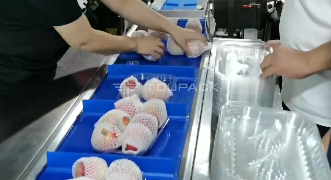 ماشین بسته بندی بالش رول انگور سیب ترکیب وزن ترازو ترکیب میوه وزنگر دستگاه بسته بندی دقیق