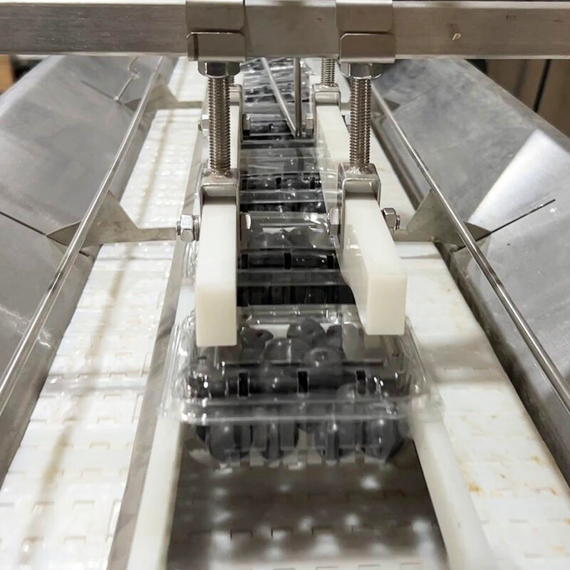 دستگاه بسته بندی سبزیجات سالاد منجمد بلوبری خودکار دستگاه توزین و بسته بندی سبزیجات گوجه فرنگی گیلاسی