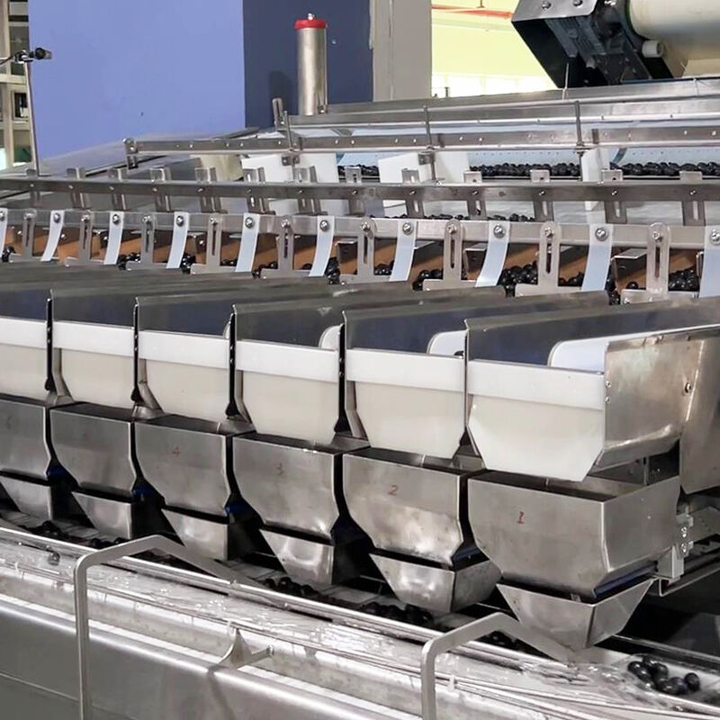 دستگاه بسته بندی سبزیجات سالاد منجمد بلوبری خودکار دستگاه توزین و بسته بندی سبزیجات گوجه فرنگی گیلاسی