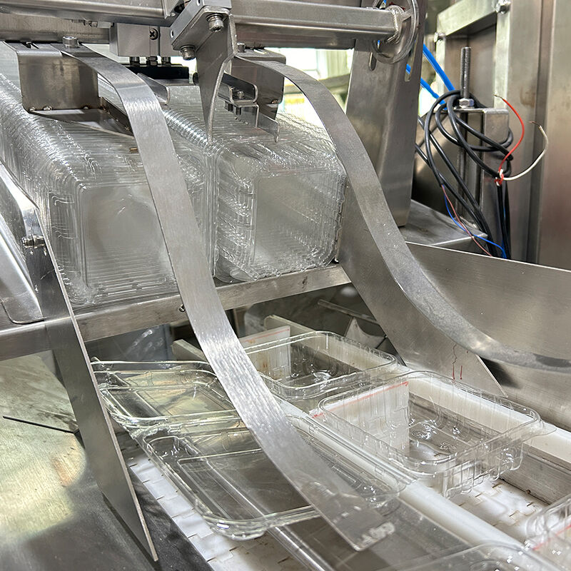 دستگاه بسته بندی سبزیجات سالاد منجمد بلوبری خودکار دستگاه توزین و بسته بندی سبزیجات گوجه فرنگی گیلاسی