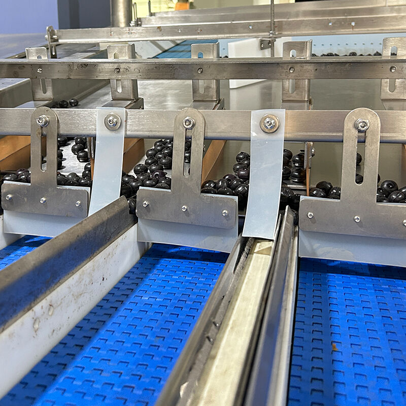 دستگاه بسته بندی سبزیجات سالاد منجمد بلوبری خودکار دستگاه توزین و بسته بندی سبزیجات گوجه فرنگی گیلاسی