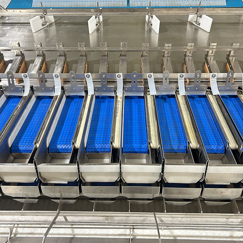 دستگاه بسته بندی سبزیجات سالاد منجمد بلوبری خودکار دستگاه توزین و بسته بندی سبزیجات گوجه فرنگی گیلاسی