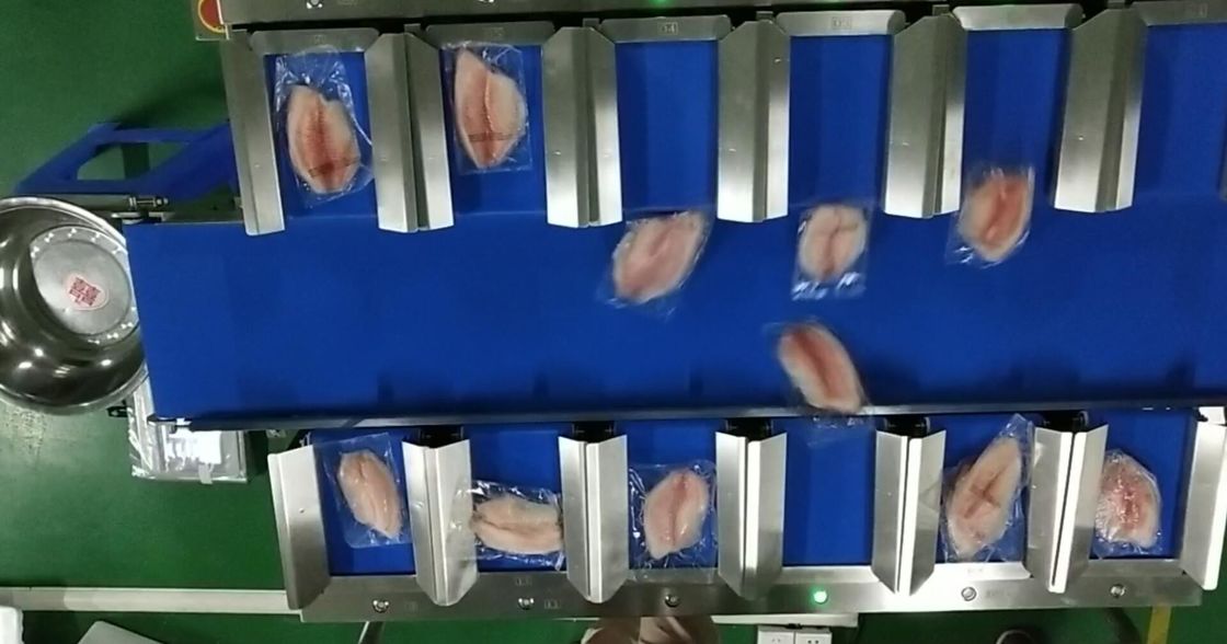 وزن کمربند تسمه نقاله TOUPACK 12 Head 30WPM Weigher For غذای دریایی