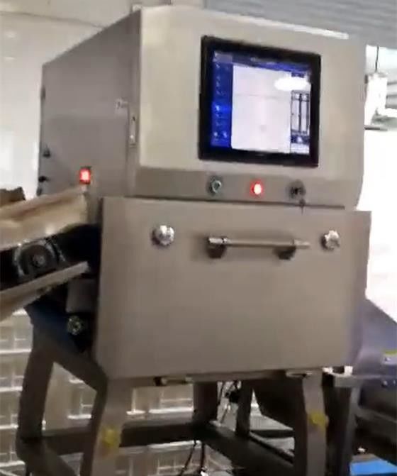 1 Microsievert / H X Ray System Inspection Systems SUS304 Detector For Chips Nuts