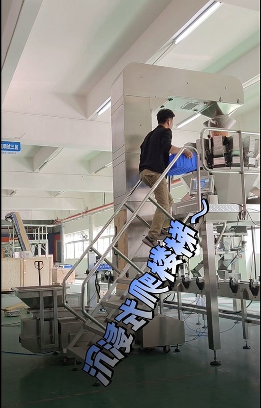 نوار نقاله سطلی شیبدار فولاد ضد زنگ Z که با توزین چند سر 10/14 سر کار می کند