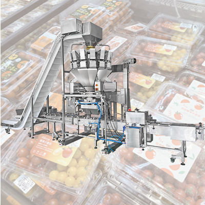 دستگاه بسته بندی کارتن پرکن کارتنی گوجه فرنگی بلوبری تازه میوه چند سر
