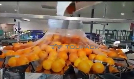 دستگاه بسته بندی میوه و سبزیجات نارنجی اتوماتیک با شبکه