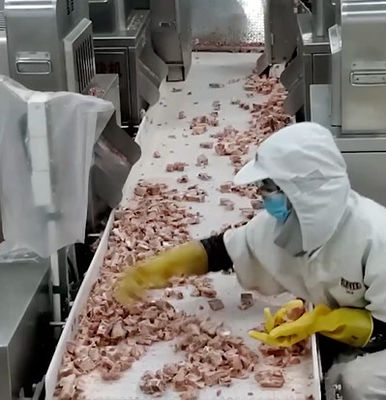 دستگاه بسته بندی توزین 20 کیسه / دقیقه برای محصول استخوان گوشت یخی