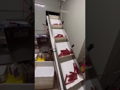 سیستم وزن‌کشی و انتقال خودکار برای سوسیس‌های دراز و هات‌داگ