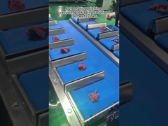 دستگاه بسته بندی سنگ شکن چند سر