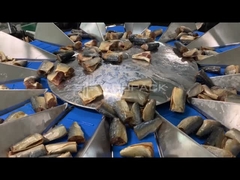 TOUPACK 14 سر چند سر وزنگر برای وزن ماهی