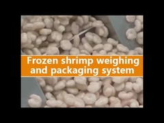 دستگاه بسته بندی وزن چند سر برای کیسه های دوپاک