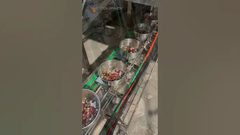 خط بسته بندی وزن مخلوط غذای طوطی با 32 سر Multihead Weigher